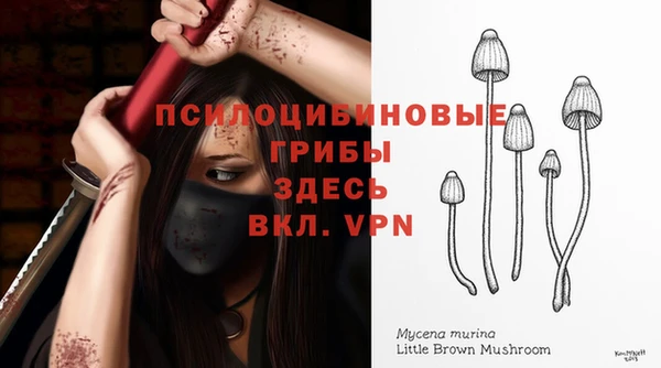 а пвп мука Елабуга