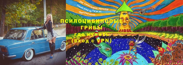 марки nbome Ельня