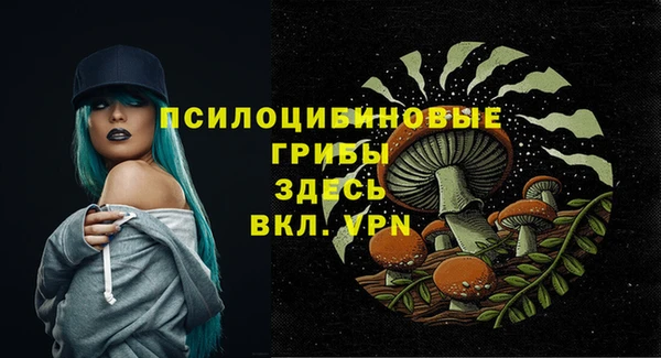 а пвп мука Елабуга