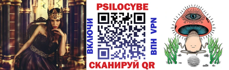 сколько стоит  Петухово  Псилоцибиновые грибы Psilocybine cubensis 